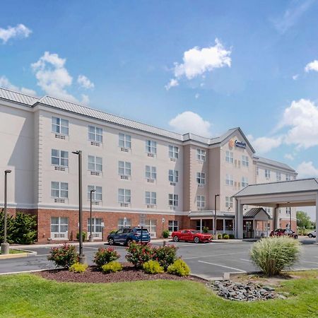 Comfort Inn & Suites Dover Dış mekan fotoğraf