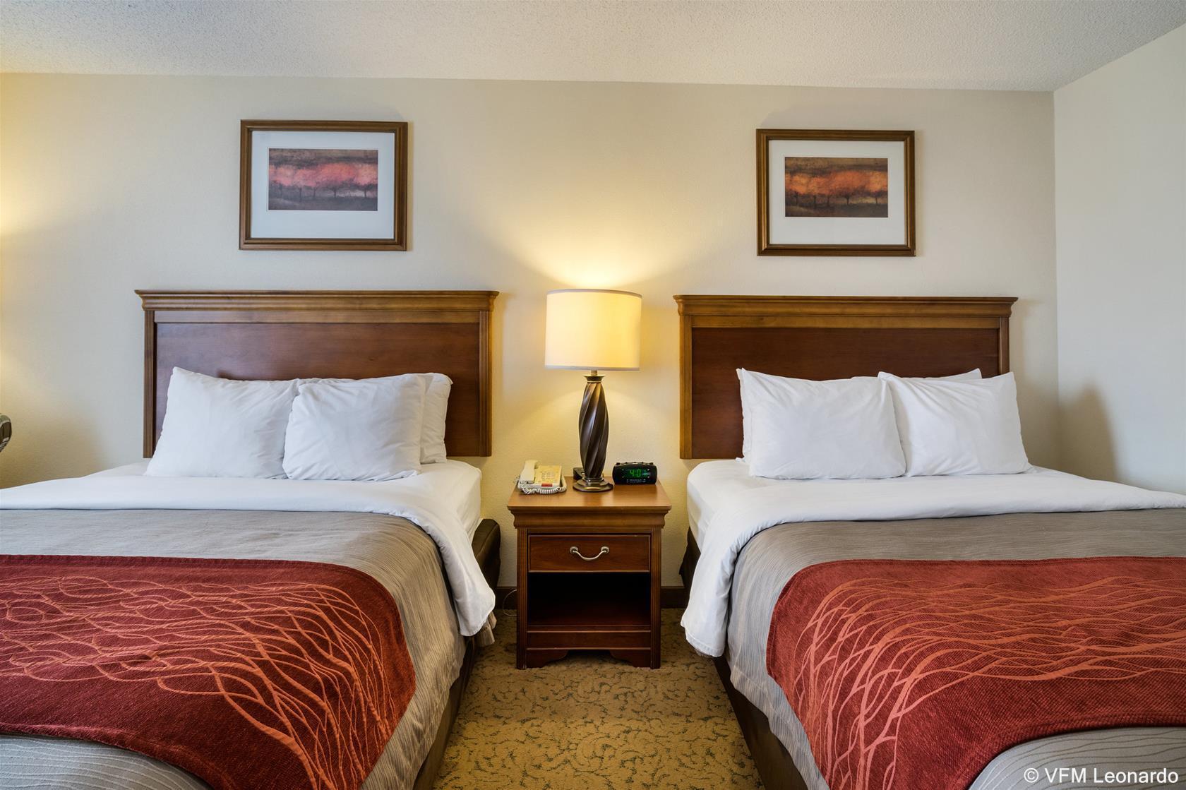 Comfort Inn & Suites Dover Dış mekan fotoğraf