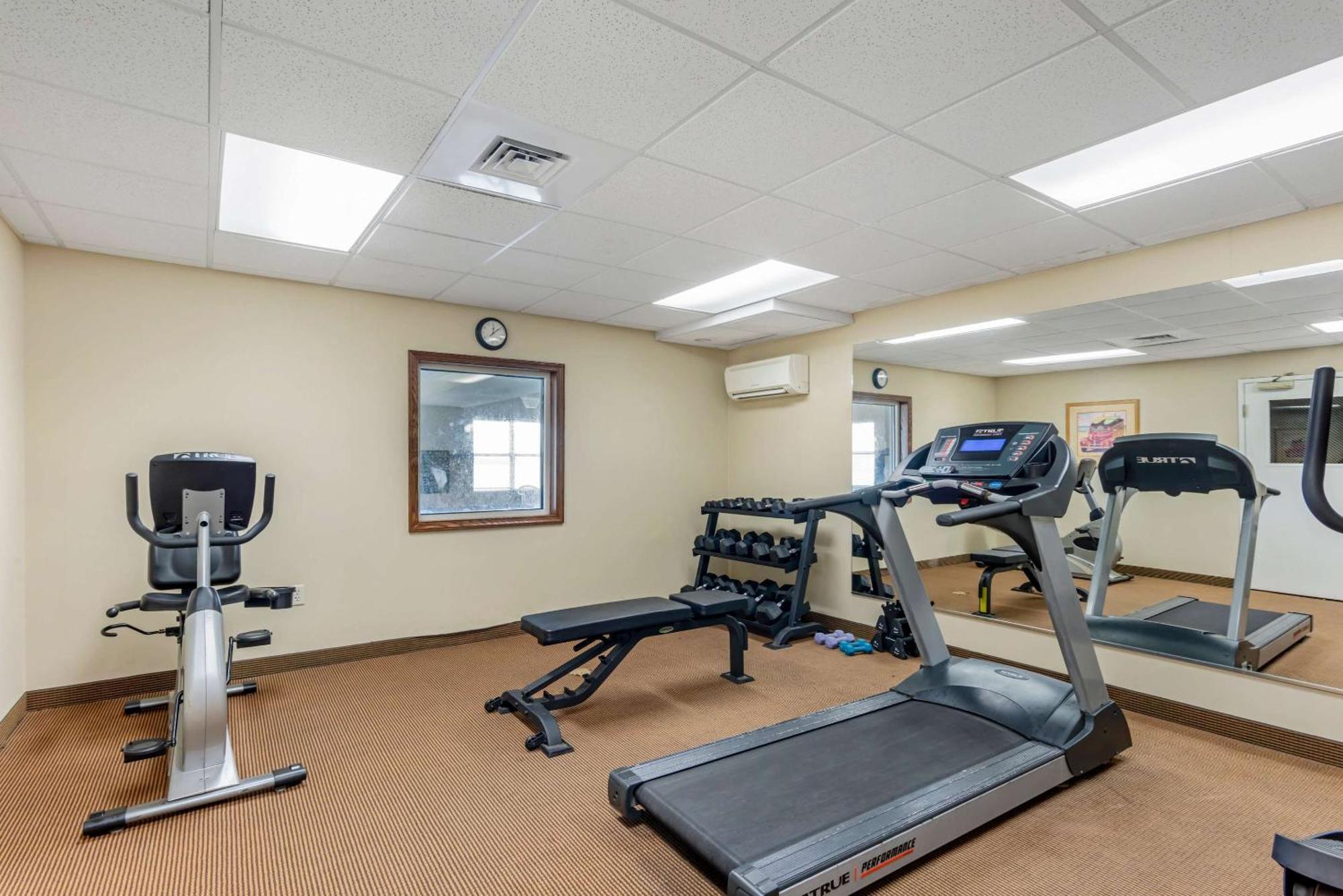 Comfort Inn & Suites Dover Dış mekan fotoğraf